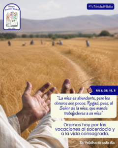 La Palabra de cada día – 14 junio